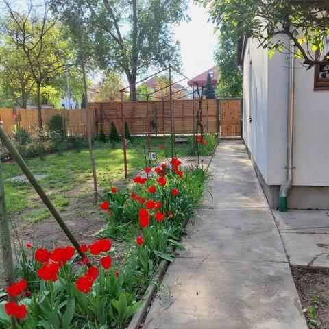 Ujszeged Apartman المظهر الخارجي الصورة