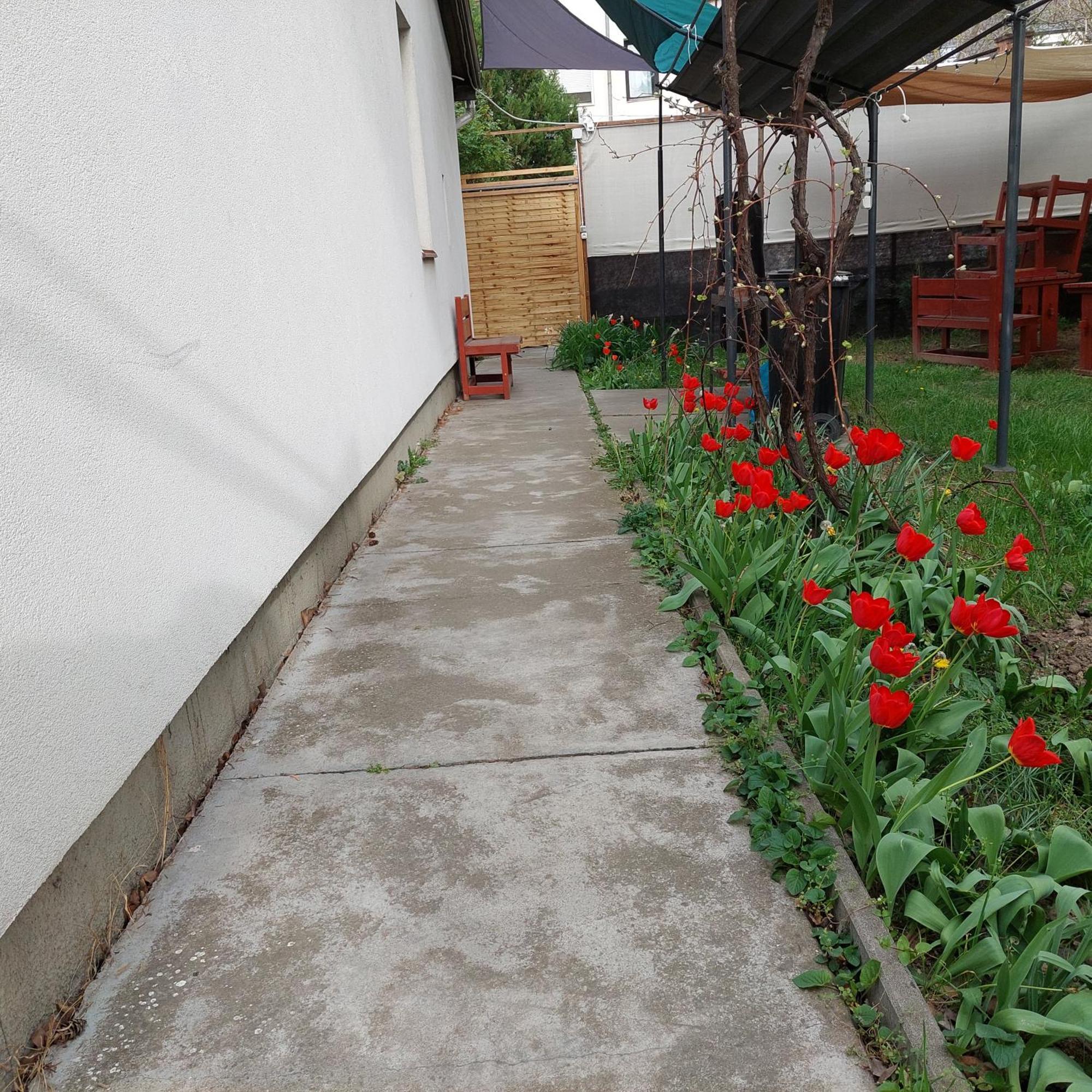 Ujszeged Apartman المظهر الخارجي الصورة