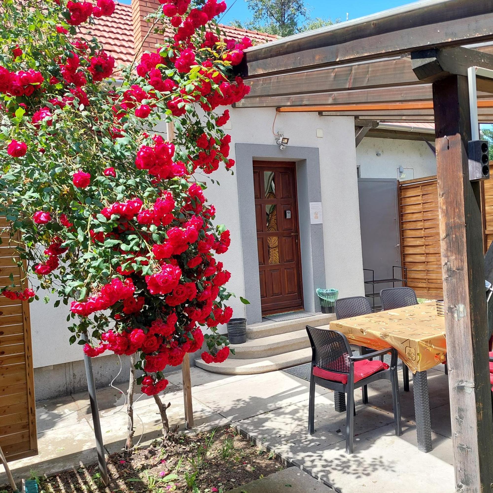 Ujszeged Apartman المظهر الخارجي الصورة